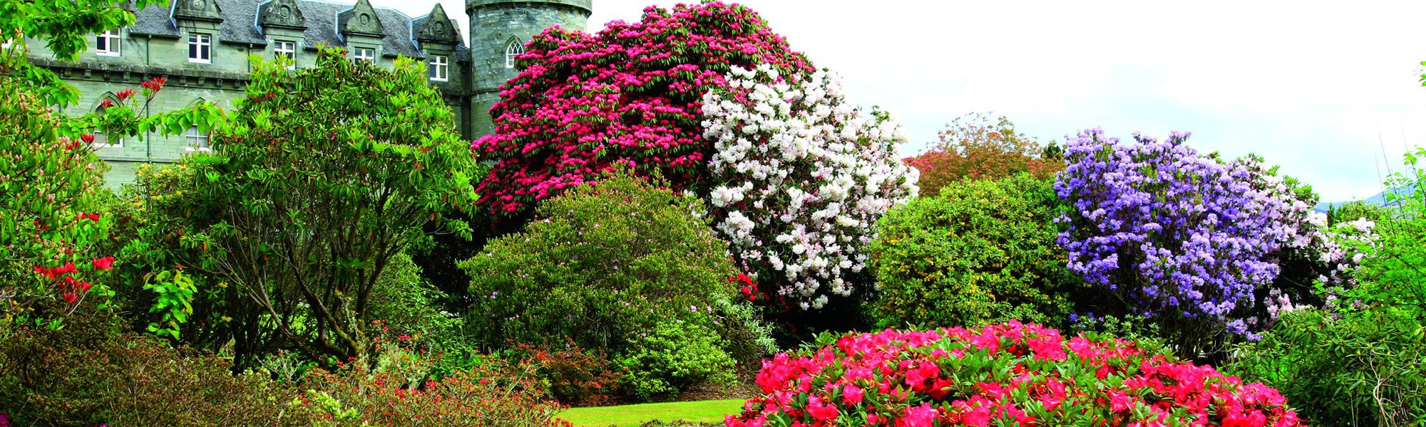 The Grounds & Garden