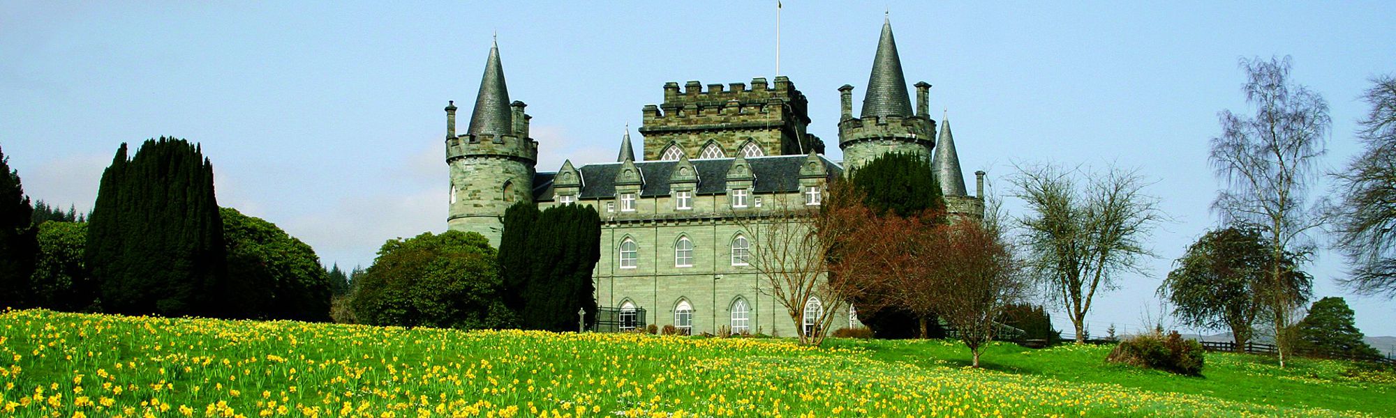 The Castle