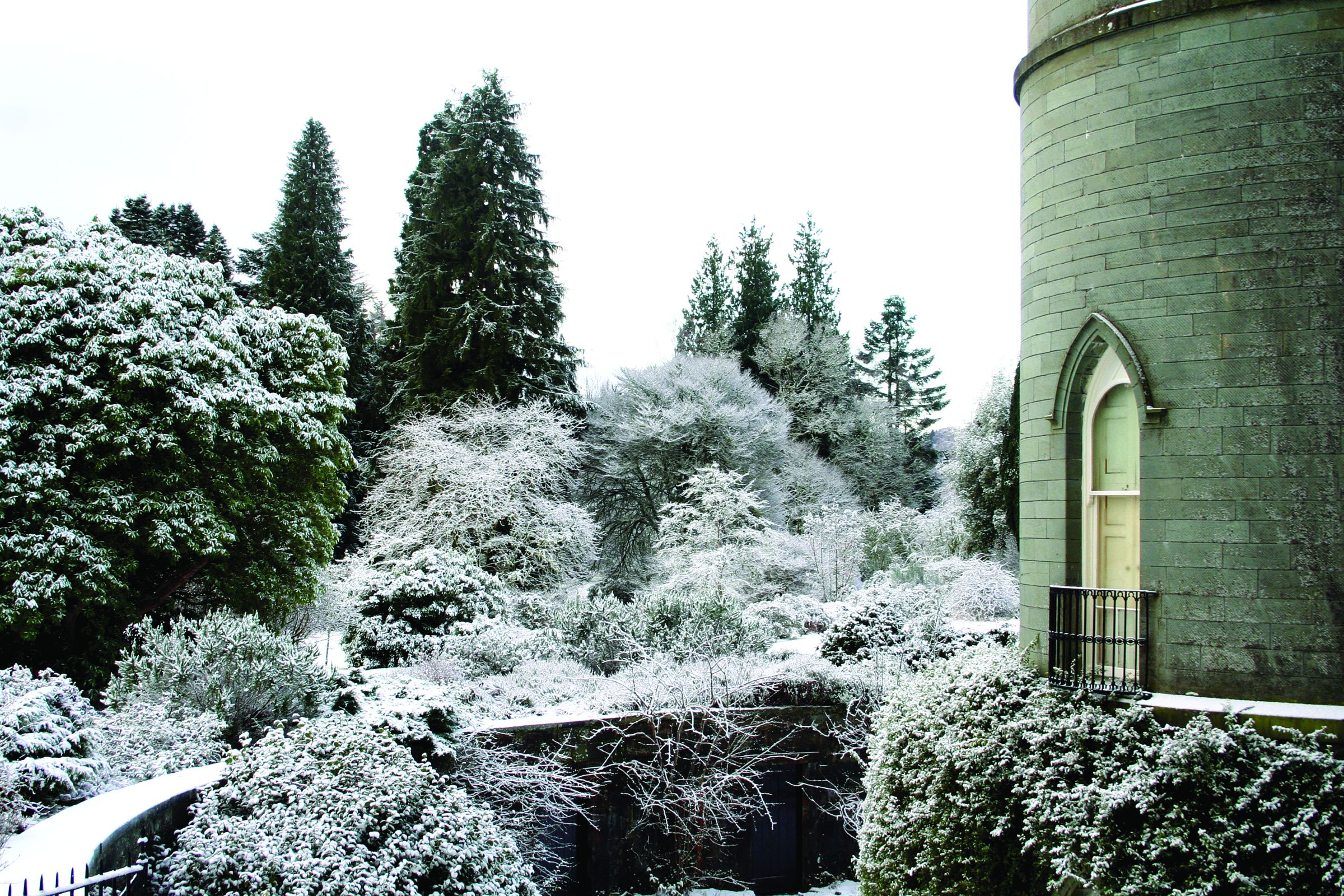 Eleanor Castle Snow Bushes