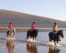 Horse Riding